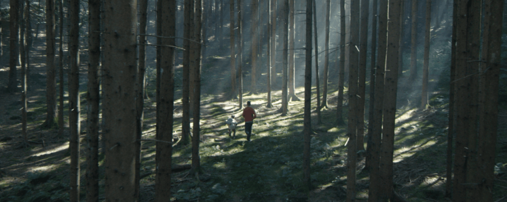 Guest post: Interview with Réka Szalkai and Anna Flóra Rácz - Mastercard sustainability