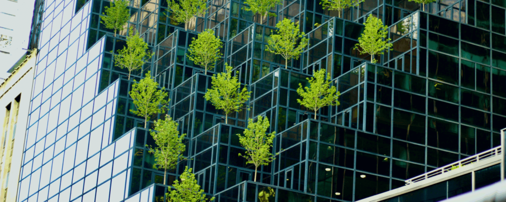 Photo by lo lindo on Unsplash