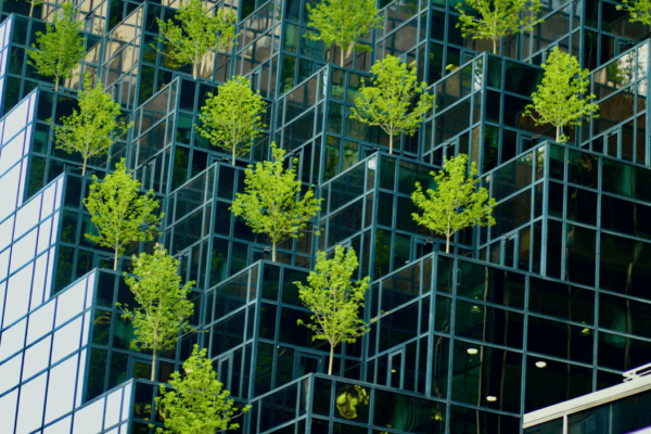 Photo by lo lindo on Unsplash