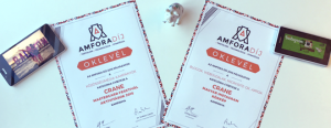 Amfora 2015 díjaink
